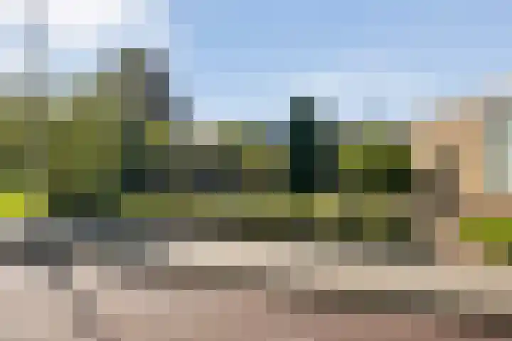Brethouwerstraat 23 Dalfsen thumbnail 4