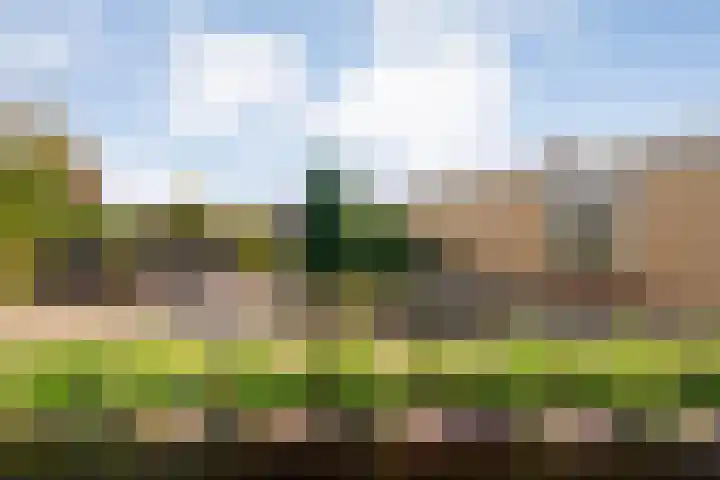 Brethouwerstraat 23 Dalfsen thumbnail 47