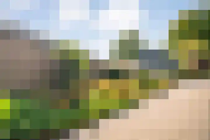 Brethouwerstraat 23 Dalfsen thumbnail 49