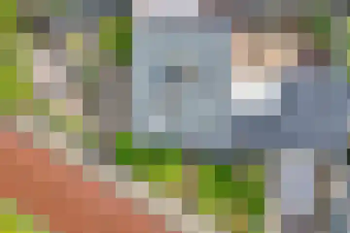 Brethouwerstraat 23 Dalfsen thumbnail 50