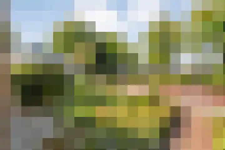 Brethouwerstraat 23 Dalfsen thumbnail 7
