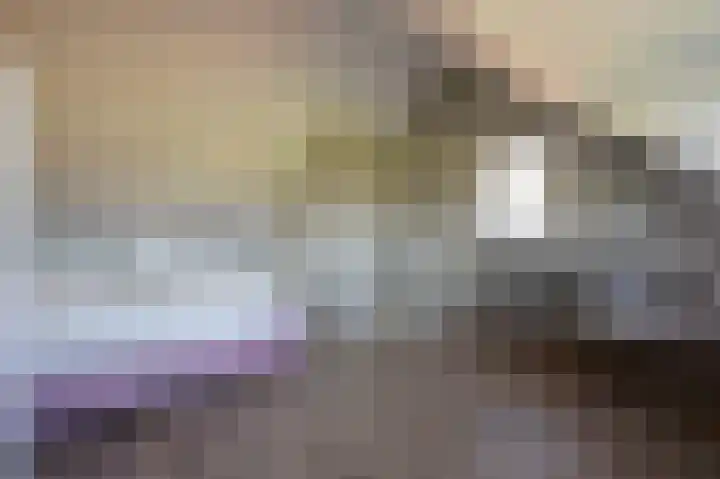 Breugelhof 20 Bosschenhoofd thumbnail 39