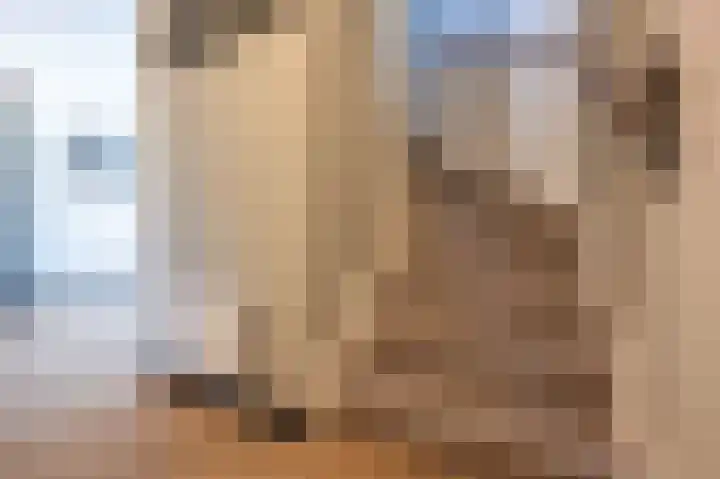Breugelhof 20 Bosschenhoofd thumbnail 8