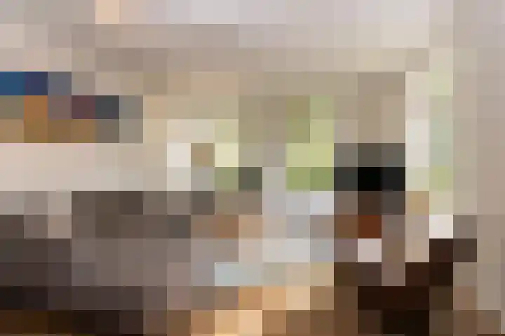 Breukrand 101 Uden thumbnail 14