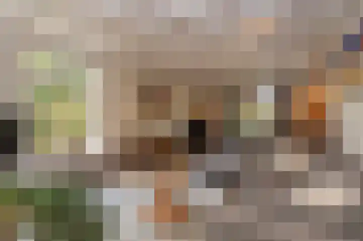 Breukrand 101 Uden thumbnail 17