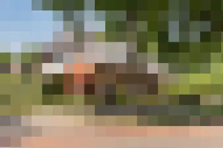 Breukrand 101 Uden foto 3