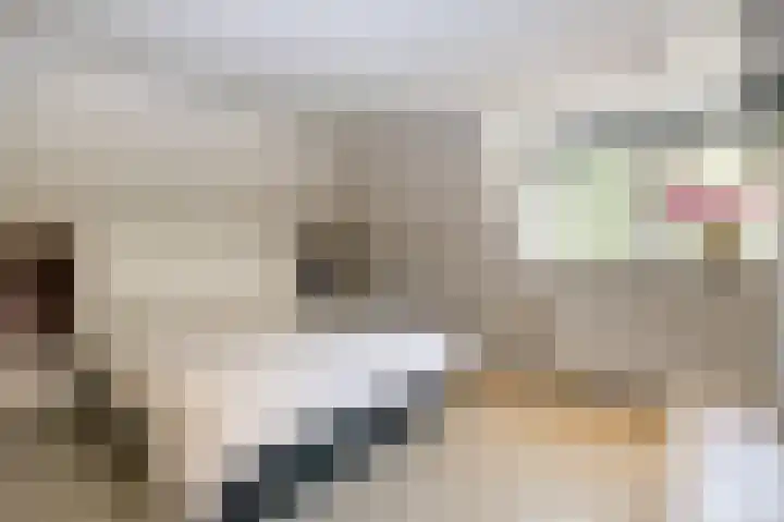 Breukrand 101 Uden thumbnail 32