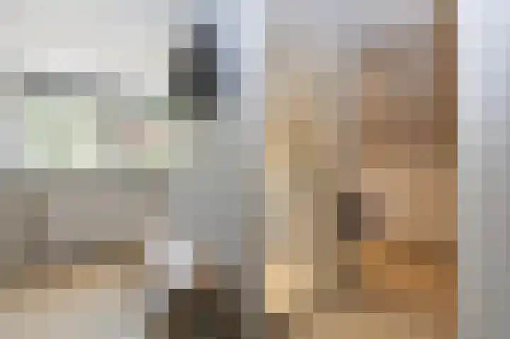 Breukrand 101 Uden thumbnail 33