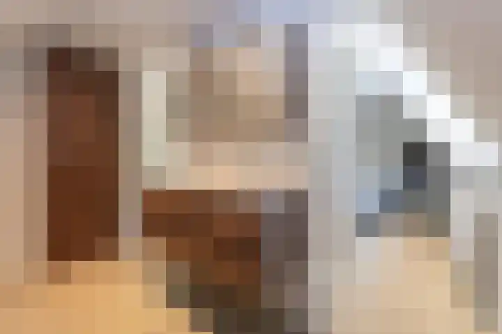 Breukrand 101 Uden thumbnail 35