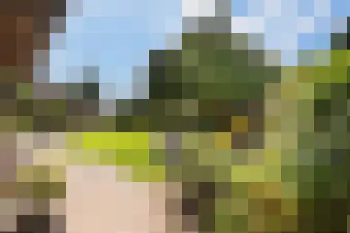 Breukrand 101 Uden thumbnail 41