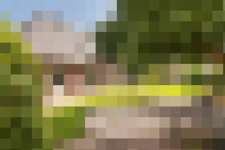 Breukrand 101 Uden thumbnail 43