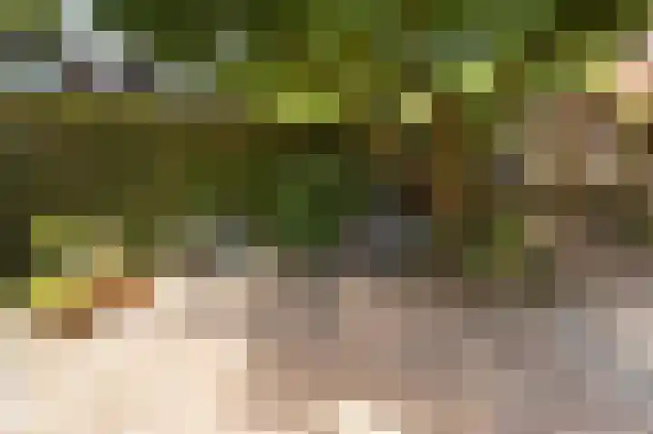 Breukrand 101 Uden thumbnail 44