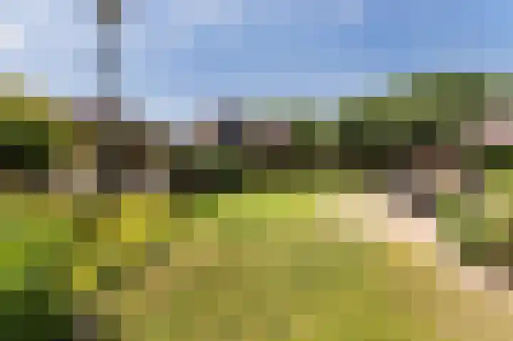 Breukrand 101 Uden thumbnail 48