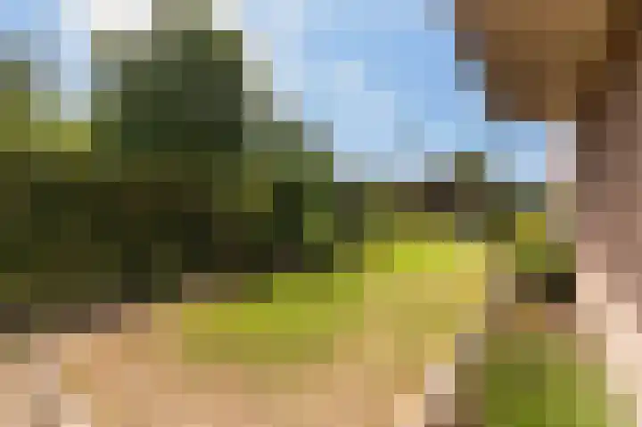 Breukrand 101 Uden thumbnail 49