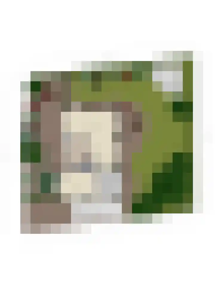 Breukrand 101 Uden thumbnail 50