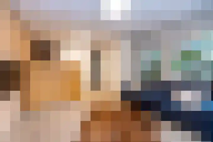 Breukrand 101 Uden thumbnail 8