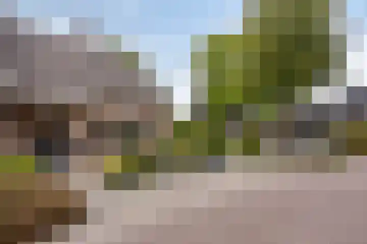 Breukrand 305 Uden thumbnail 37
