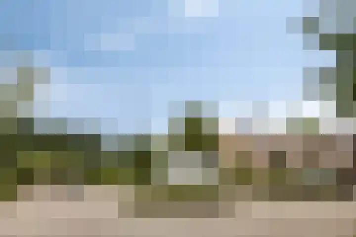 Breukrand 305 Uden thumbnail 38