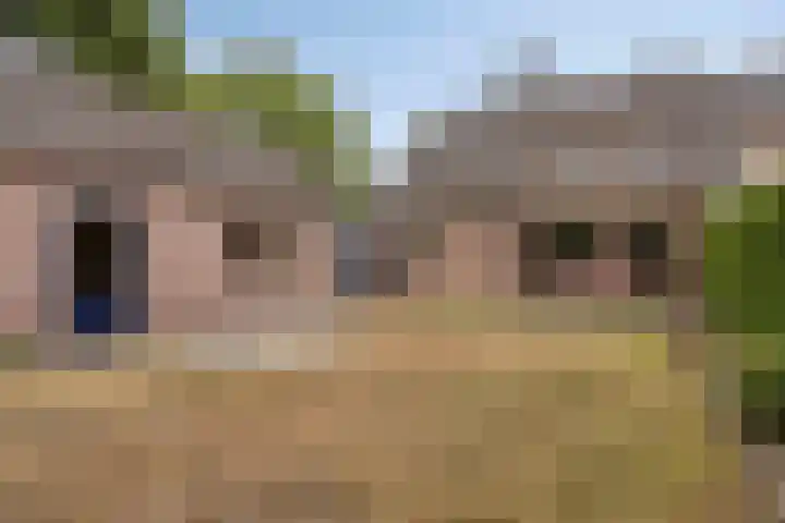 Breukrand 305 Uden thumbnail 5