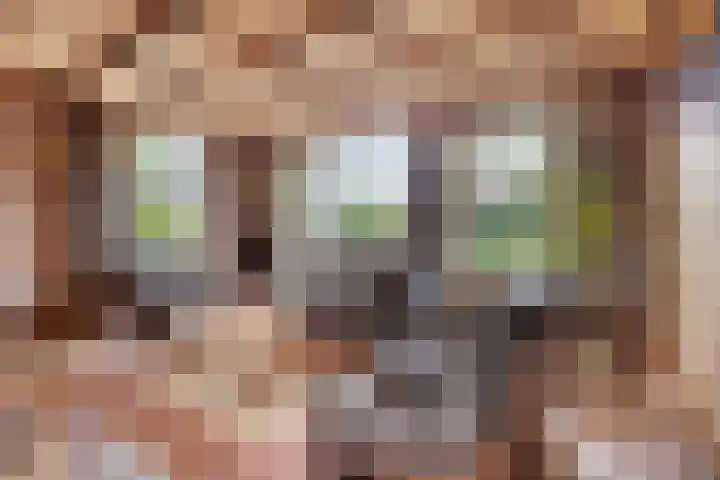 Breukrand 305 Uden thumbnail 8