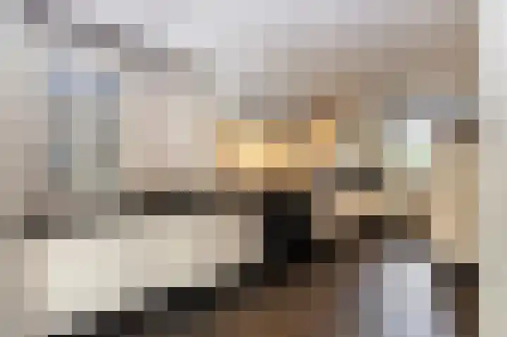 Breukrand 320 Uden thumbnail 10