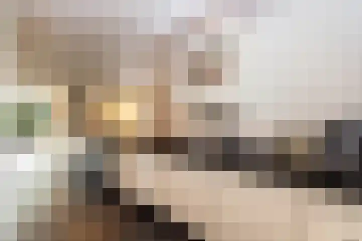 Breukrand 320 Uden thumbnail 11