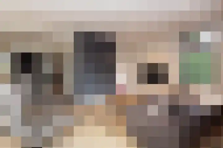 Breukrand 320 Uden thumbnail 15
