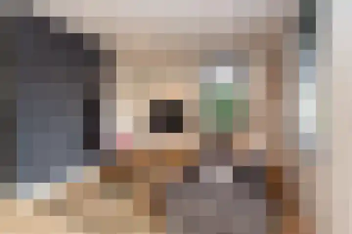 Breukrand 320 Uden thumbnail 16