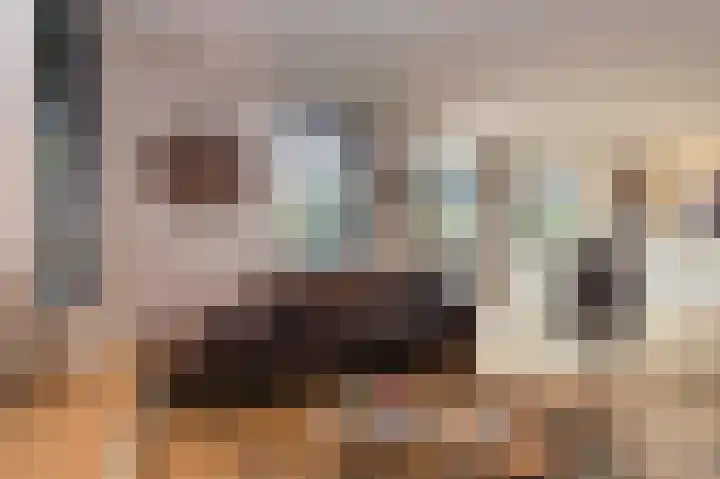 Breukrand 320 Uden thumbnail 17