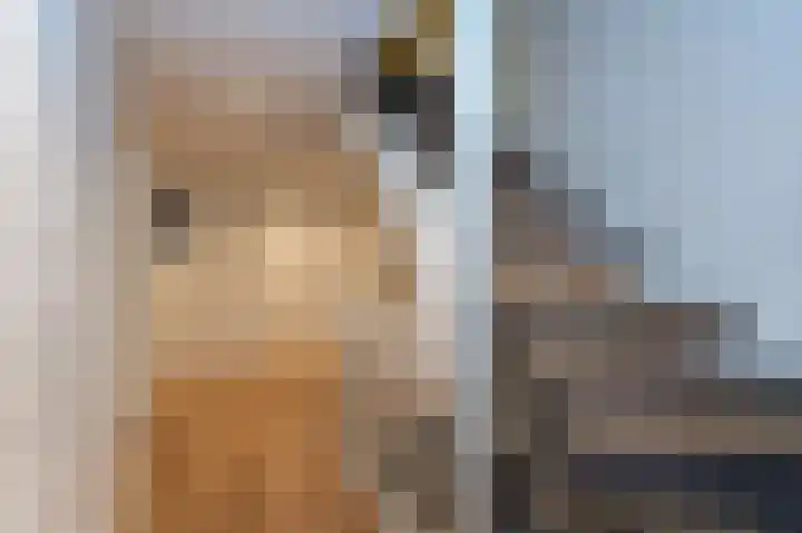 Breukrand 320 Uden thumbnail 24