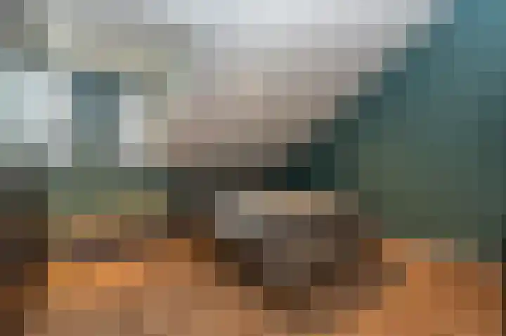 Breukrand 320 Uden thumbnail 28