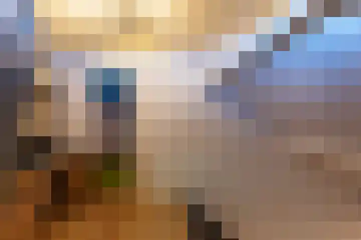 Breukrand 320 Uden thumbnail 33