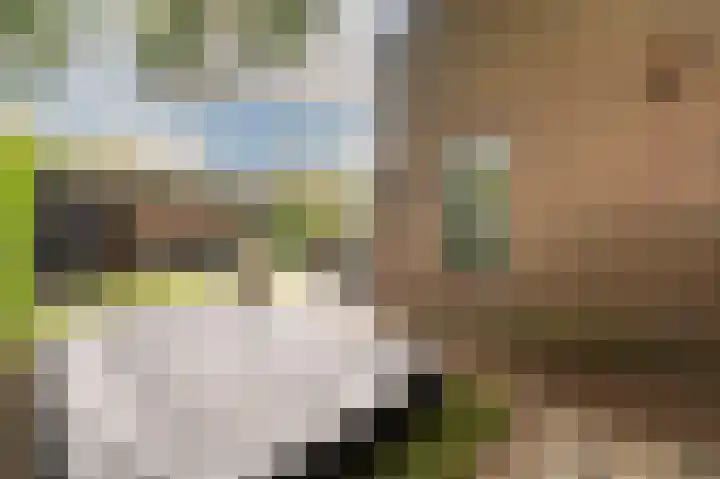 Breukrand 320 Uden thumbnail 36