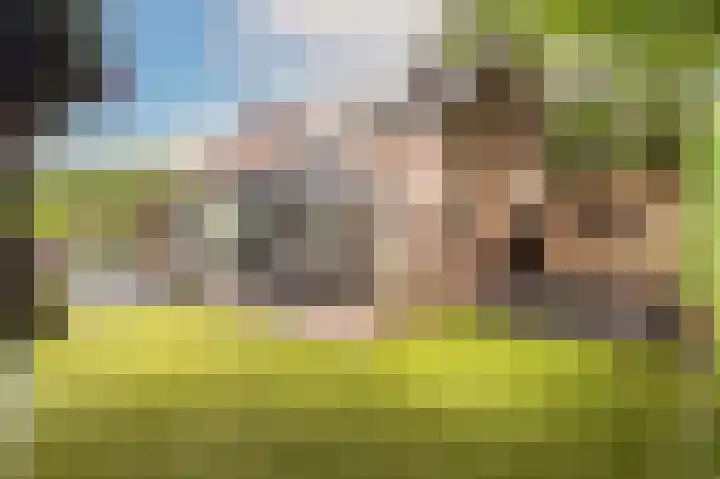 Breukrand 320 Uden thumbnail 37
