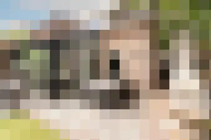 Breukrand 320 Uden thumbnail 39