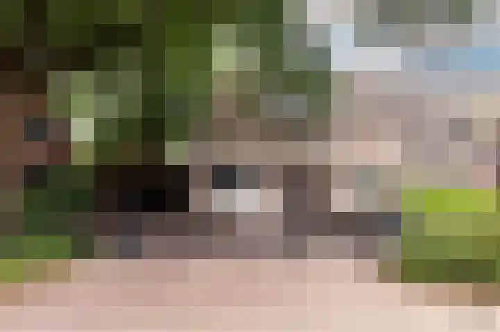 Breukrand 320 Uden thumbnail 4