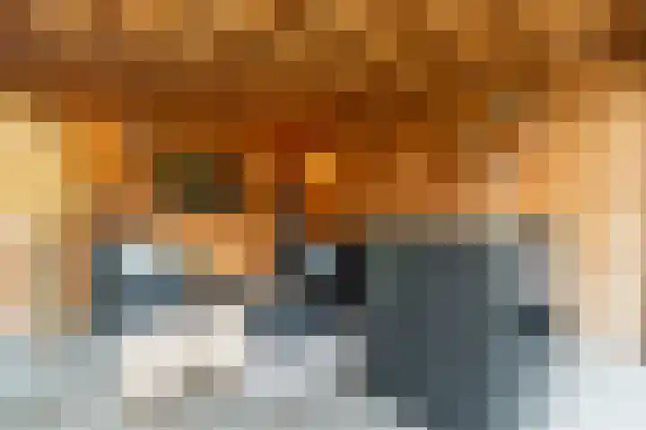 Breukrand 320 Uden thumbnail 47