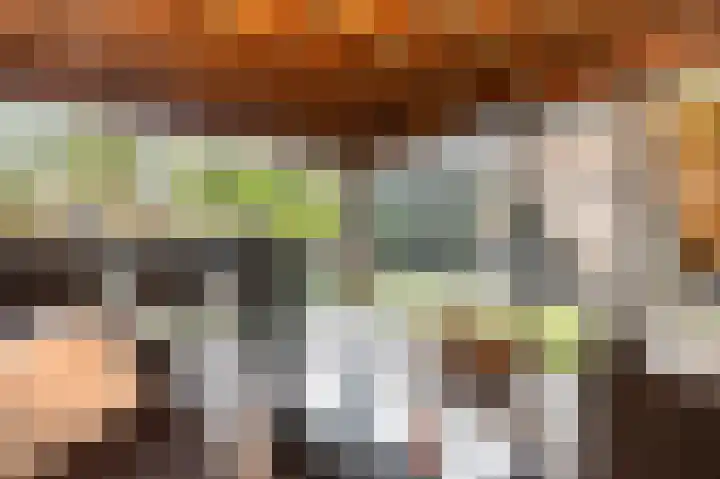 Breukrand 320 Uden thumbnail 48