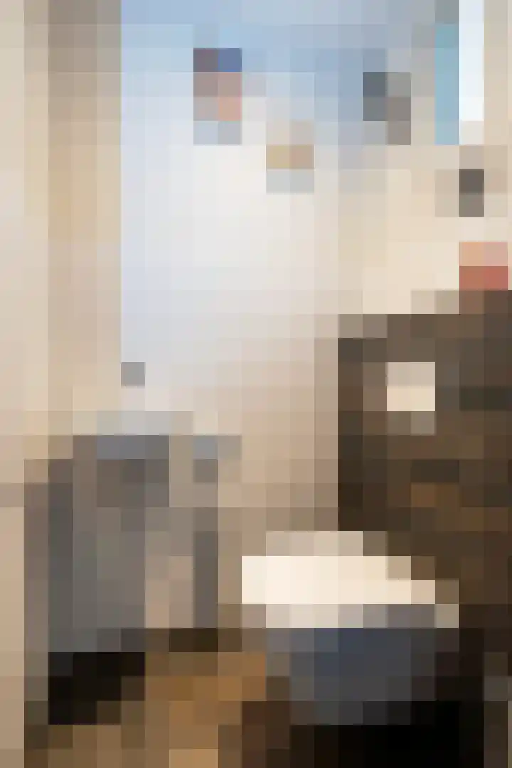 Breukrand 320 Uden thumbnail 7