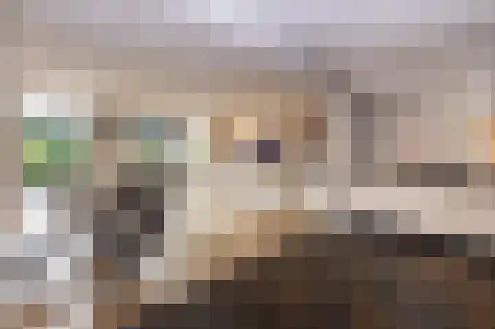 Breukrand 320 Uden thumbnail 8