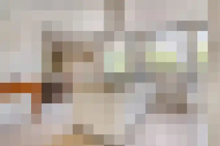 Breukrand 401 Uden thumbnail 18