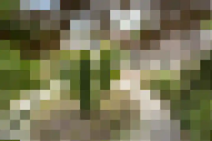 Breukrand 401 Uden thumbnail 38
