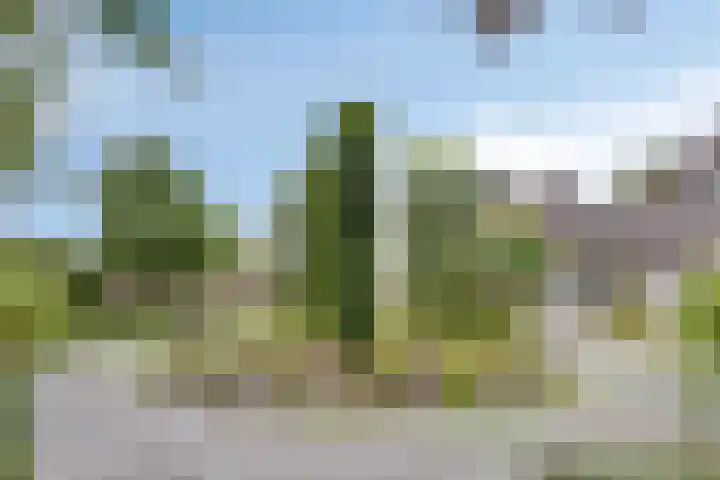 Breukrand 401 Uden thumbnail 40