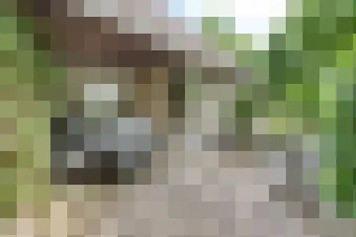 Breukrand 401 Uden thumbnail 42