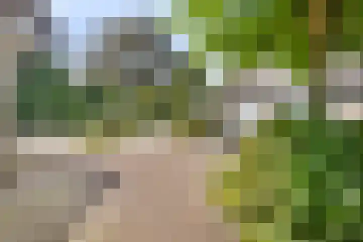 Breukrand 401 Uden thumbnail 43