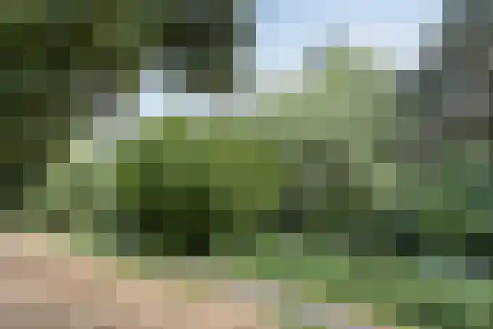 Breukrand 401 Uden thumbnail 46