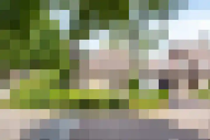 Breukrand 401 Uden thumbnail 5