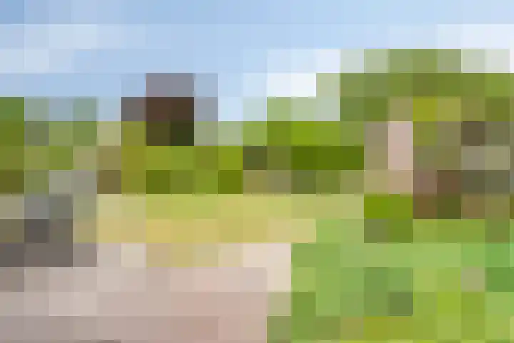 Breukrand 402 Uden foto 2