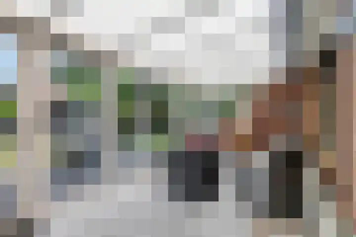 Breukrand 402 Uden thumbnail 20