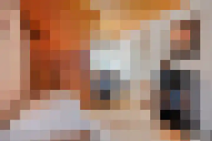 Breukrand 402 Uden thumbnail 28